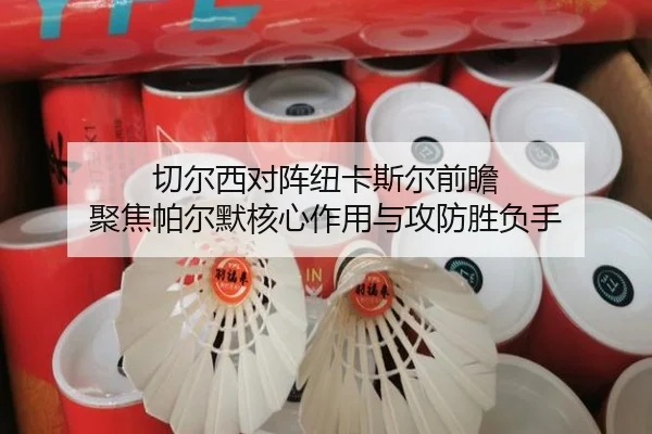 切尔西对阵纽卡斯尔前瞻 聚焦帕尔默核心作用与攻防胜负手
